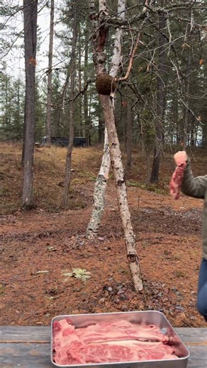 Sama on Instagram: "It’s not often I share a full dinner recipe here. This one earned it! Pineapple marinated Korean BBQ short ribs & rice 🍍🥩🍚 • 3-4 lbs flanken short ribs • Juice from 15 oz pineapple slices (reserve slices) • ¾ cup coconut aminos • 2 tbsp tamari • 2 tsp cold pressed sesame oil • 1½ tbsp rice vinegar • 2 garlic cloves, grated • 2-inch piece ginger, peeled & grated • 2½ cups jasmine rice • 3 cups water • Kimchi, for serving 1️⃣ Make the marinade Whisk together pineapple juice,