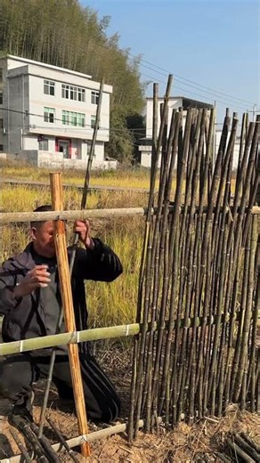 Bamboo Fence Construction | Affordable and Eco-Friendly Farm Fencing