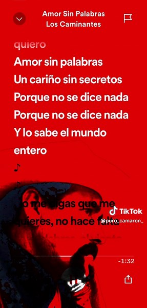 #amorsinpalabras #loscaminantes #karaokesongswithlyrics #parati #fyp #CapCut #spotify #purocamaron #karaoke #duet #duo #cancion #conletra #letra #triste #triste #romantica #amor #desamor #domingo