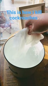 The best way to kill cockroaches ￼