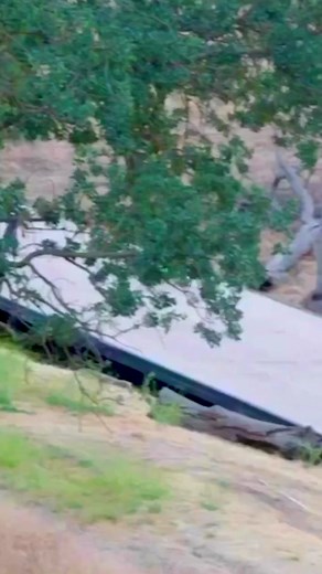 Nitro Circus on TikTok