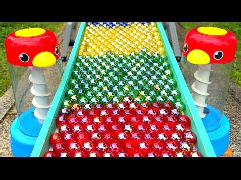 Marble Run: 7-Color Marble Run & Rookie Performer
