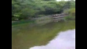 衝撃映像!!釣りしてたら巨大未確認生物をフィッシュオン！？