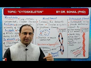 "CYTOSKELETON" (Skeleton of cell)