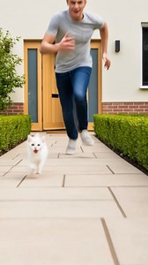 160K views · 3.4K reactions | The Brave Baby Cat Who Saved His Mama from Snake | DODO AI | Facebook