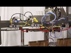 Hamrick Packaging System - 600D-S Drop Packer Packing Glass Bottles Neck Upside Down for a Co-Packer