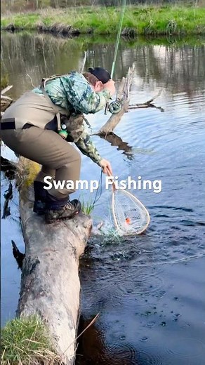 Catching Brook trout in a swamp on the fly! #fishing420 #troutreel #troutfishing