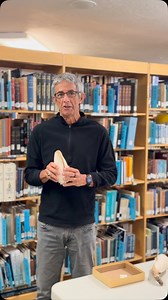 Today learn about the Angel Wing (𝘊𝘺𝘳𝘵𝘰𝘱𝘭𝘦𝘶𝘳𝘢 𝘤𝘰𝘴𝘵𝘢𝘵𝘢) with Dr. José Leal! #sanibel #sanibelisland #shellmuseum #shelling #malacology #angelwingshell #cyrtopleuracostata | Bailey-Matthews National Shell Museum & Aquarium