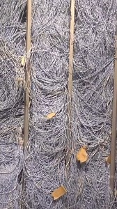 12K views · 65 reactions | #firstcomputer | Arduino Projects | Facebook