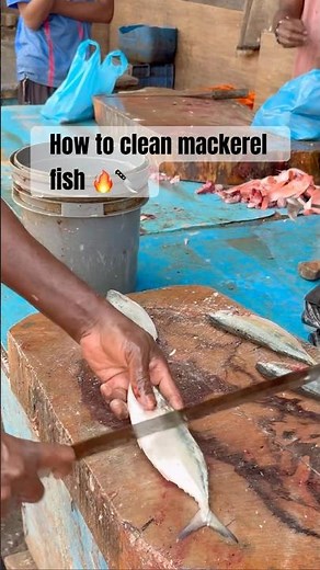 How to clean Mackerel fish the easy way! 🐟🔪 Fresh catch cleaned step-by-step for perfect cooking.