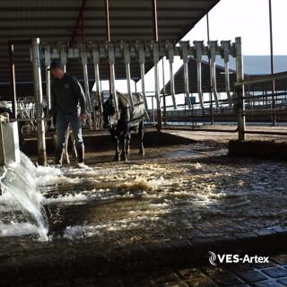 The VES-Artex Finger Gates are a one-way cow sorting system designed to improve cow flow and reduce labor. This is a modular design and can be adjusted to fit the needs and layout of your barn. Protect Your Legacy!  #FingerGate #VESArtex #CowManagement #ProtectYourLegacy | VES-Artex | Facebook