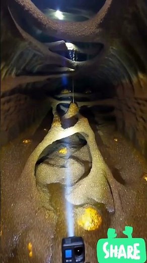 🌎 Real Jungle Research | Female Biologist Documentary.🔬 Female Field Biologist Exploring the Wild 🌿