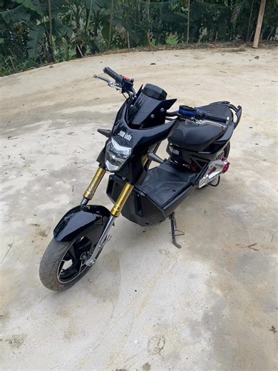 Exploring Xedo Vietnam's Trends and Flops