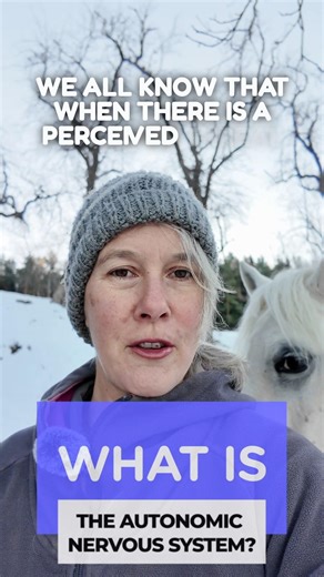 The connection between breathing and the autonomic nervous system | thebreather.com