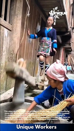 Traditional rice milling: people milling rice with a stone mill