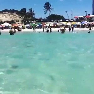 1M views · 48K reactions | Quem você convidaria para Praia do Forte, em Cabo Frio, RJ? ❤ Video: Flavia Pinheiro | Hurb | Facebook