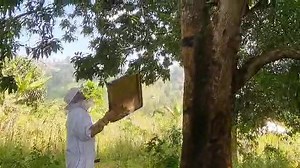 2.3K views · 55 reactions | Je t'offre un cadeau  spécial. Obtiens...