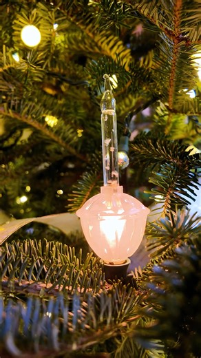 Step into the season with the Dunedin Youth Guild’s 56th Annual Holiday Tour of Homes Saturday, December 6. This year’s theme, A Vintage Christmas Home Tour, features historic downtown homes and the Fenway Hotel, each showcasing Dunedin’s creative, colorful and historic vibe. Enjoy the included Jolley Trolley Shuttle for easy travel throughout the tour. Be sure to save time for the Holiday Tea at the Hale Senior Activity Center, where you can enjoy treats, warm drinks and shop imaginative vendor