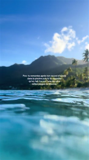 À la découverte de Moorea : Plongée et détente