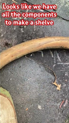Wooden shelve from all natural materials #art #woodcraft #nature #woodworking