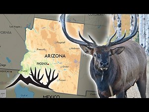 Arizona Big Game Application Information
