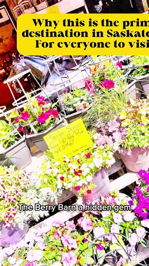 Discover Must-Visit Hidden Gems in Saskatoon