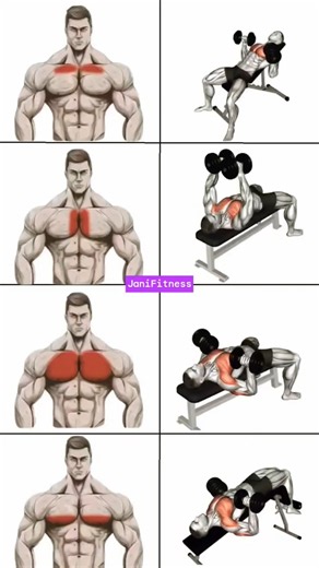 🔥BUILD A BIGGER CHEST WITH 4 DUMBBELL EXERCISES #ChestWorkout #ChestDay #Fitness #Shorts