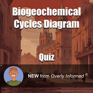 Biogeochemical Cycles Diagram Quiz
