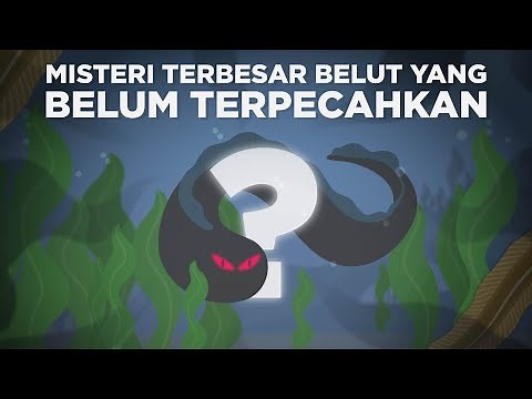 Misteri Terbesar Belut yang Belum Terpecahkan