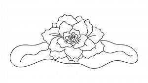 African Violet Flower Continuous Line Draw Stock Footage Video (100% Royalty-free) 3497021151 | Shutterstock