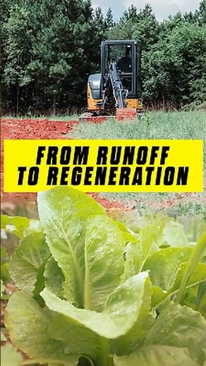 The Mini Excavator Trick Farmers Don't Talk About