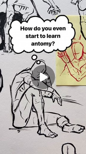 flo.creates.rt on Instagram: "So many struggle with anatomy because they rush the process and try to accomplish things that are pretty difficult to learn in a short amount of time. Instead you should understand that the human body (pretty much everything) is made out of simple shapes which can be simplyfied. But before that you should be comfortable drawing spheres, cubes, and cylinders in space before assembling them and changeing their apperence. Proportions is another thing you need to consid