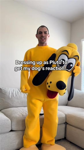 52K views · 2K reactions | Blue + Pluto are a match made in heaven, Blue + the Spare… are not 路... #dogsofinstagram #dog #dogsofttiktok #dogsofig #dogsofinsta #husky #huskies #funny #fblifestyle | Blue The Husky | Facebook