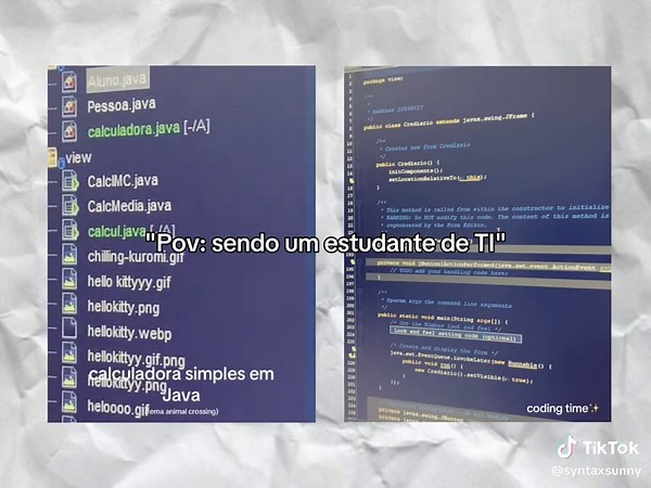 Pov: Desenvolvimento de Sistemas na Programação