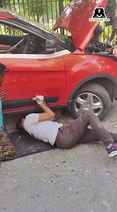 A 6-foot-long Python Rescued in Delhi. A massive python found an unexpected refuge in a car in South Delhi. The compassionate car owner reached out to Wildlife SOS for urgent assistance and a well-trained team swiftly arrived at the scene, working in coordination with the police and forest officials. The rescuers performed a meticulous operation, crawling under the car to locate the python, which had made its way into the engine area. After more than half an hour of careful effort, the snake was