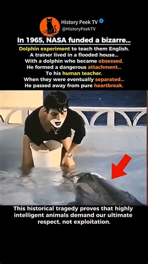Why We Should NEVER Treat Animals Like This 🐬🛑 #shorts