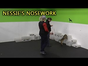 Scent Detection Training Devices and DIY Setups, Hunters Heart Scent Detection and Medical Alert Training