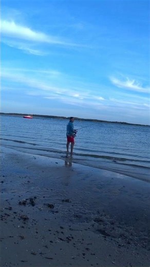 Рыбачья бухта в сердце Сиднея.