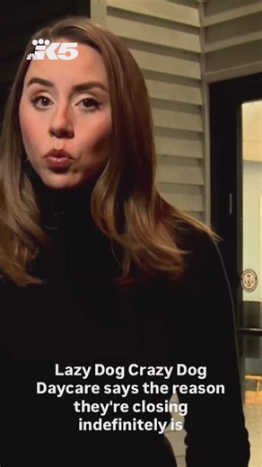 Seattle dog daycare at center of animal abuse case shuts down