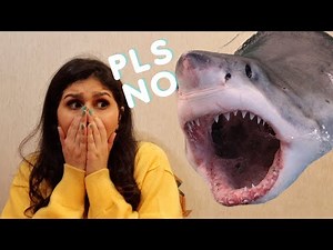 My INTENSE SHARK PHOBIA Explained
