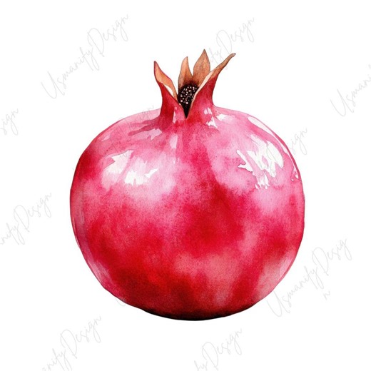 15 Watercolor Pomegranate Clipart PNG Set, Red Pomegranate, Fresh Fruit Art, Pomegranate Seeds Clipart, Botanical Fruit PNG, Food Art - Etsy Canada