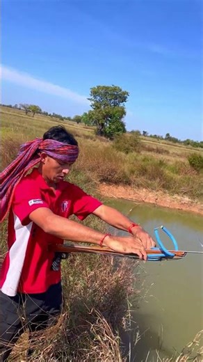 Amazing Traditional Fish Hunting in the Wild #RuralFishHunter