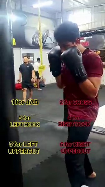 How Boxers Use Numbers to Call Punches | Boxing Basics for Beginners #shadowboxing #boxingduo