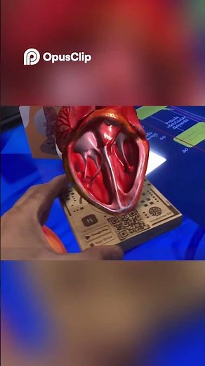 See A Realistic 3D Heart In AR! Mind-Blowing Tech!