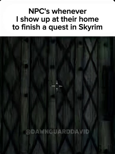 Skyrim Memes: Hilarious NPC Moments That Make You Flip Out