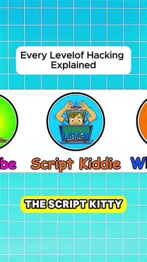 The Dark Truth About Script Kiddies & How They Really Work #hackers #skills #cybersecurity