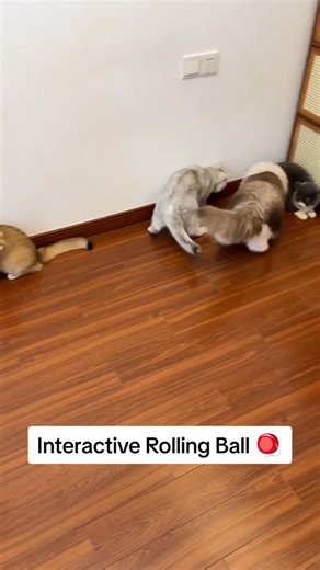 This smart rolling ball moves automatically and changes direction on its own — cats go CRAZY for it! Keeps your cat active, entertained, and away from your furniture. | FurNiche