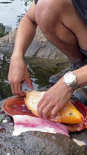 Naniura: Masakan Tradisional Khas Batak yang Lezat