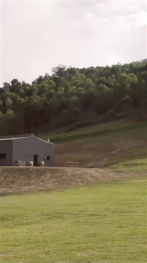 26K views · 44 reactions | We are still obsessing over Josh’s off grid shed! 朗 #shed #shedsnhomes #shedinspo #sheds #mancave #COLORBOND #bluescope #offgrid | Sheds n Homes | Facebook