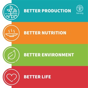 3.7K views · 107 reactions | Let's transform our agri-#FoodSystems...